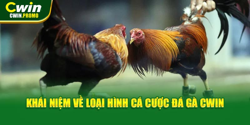 Khái niệm về loại hình cá cược đá gà CWIN