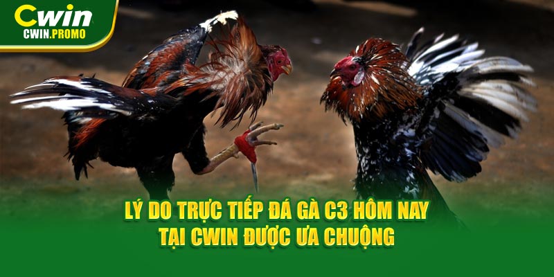 Lý do trực tiếp đá gà C3 hôm nay tại CWIN được ưa chuộng