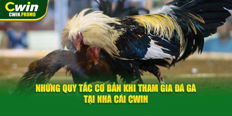 Những quy tắc cơ bản khi tham gia đá gà tại nhà cái CWIN